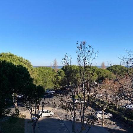 Charmant Studio Refait A Neuf Carnon Port 34 Mauguio Exterior foto
